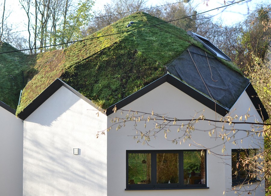 Un toit couvert de verdure. 
