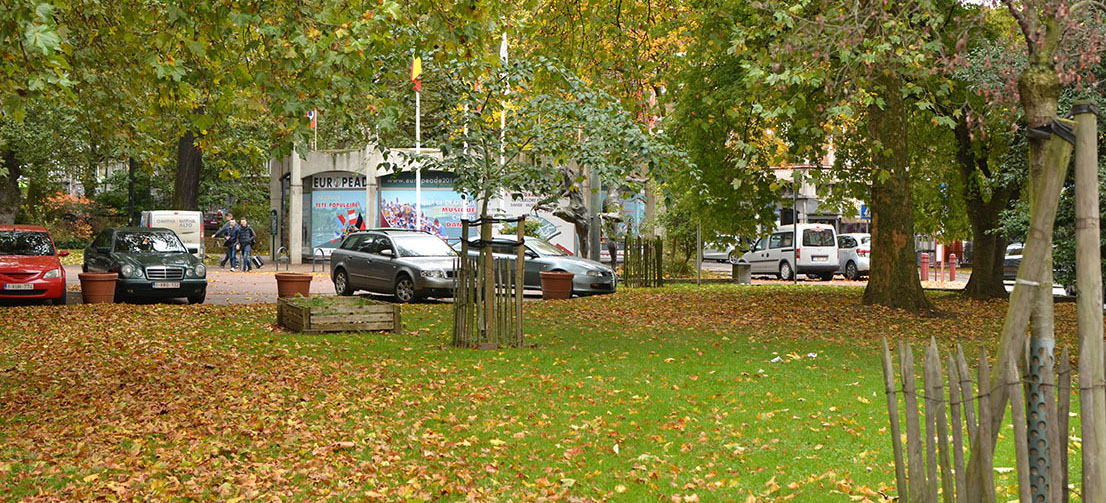 Un parc avec des arbres et des voitures garées devant.