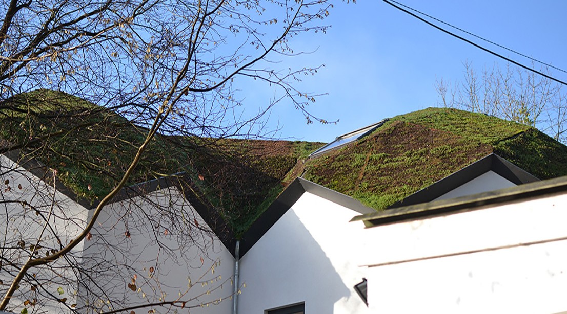 Un toit de verdure sur une maison