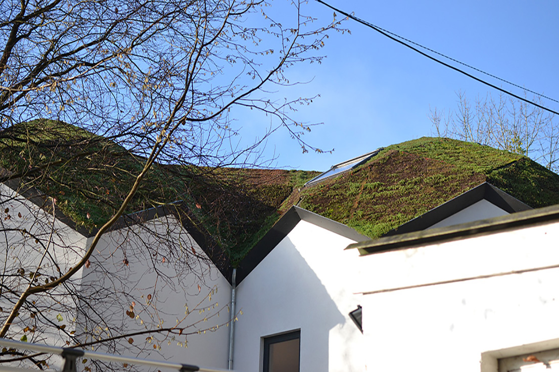 Un toit de verdure sur une maison