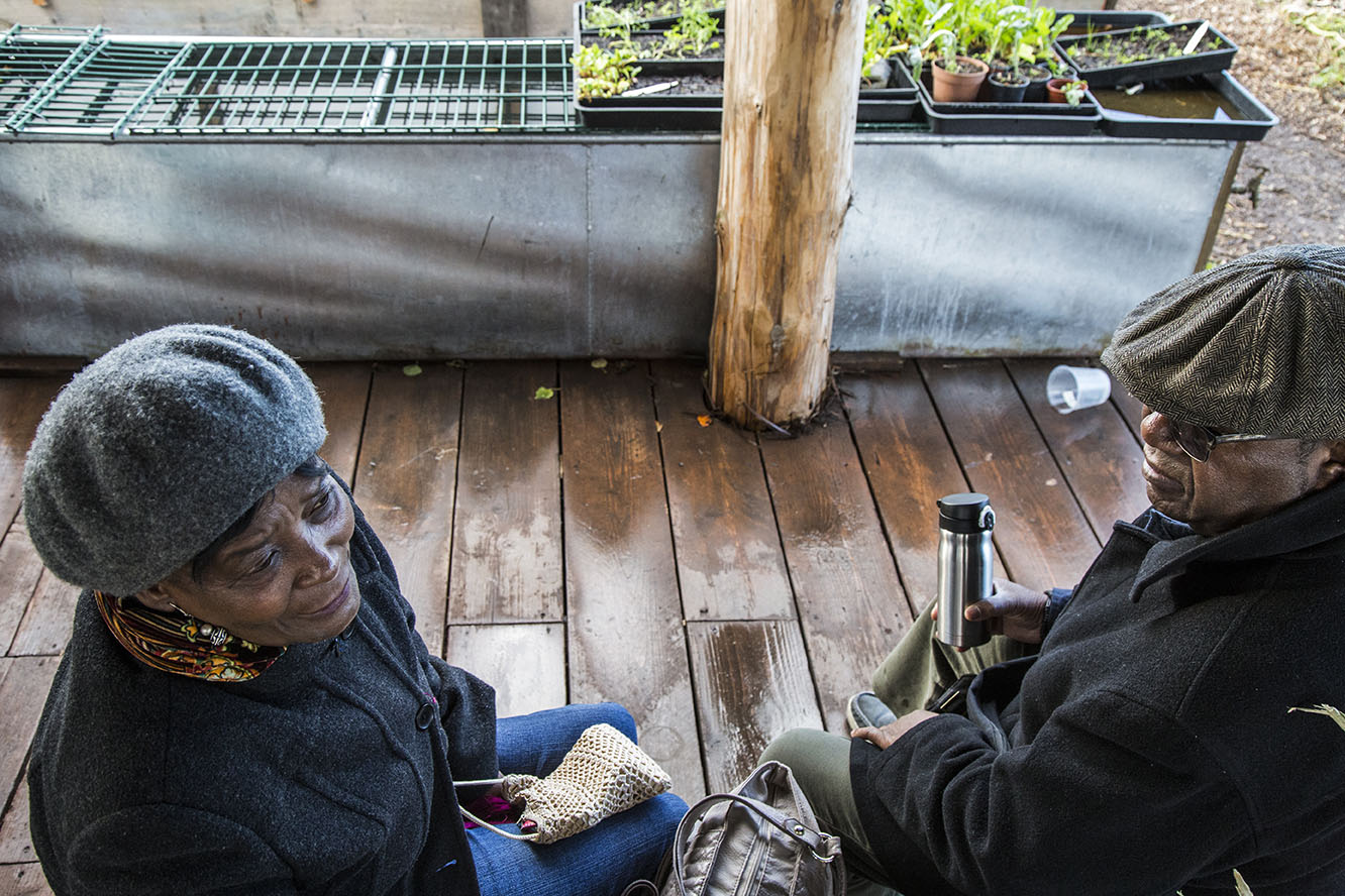 Spitalfields city farm