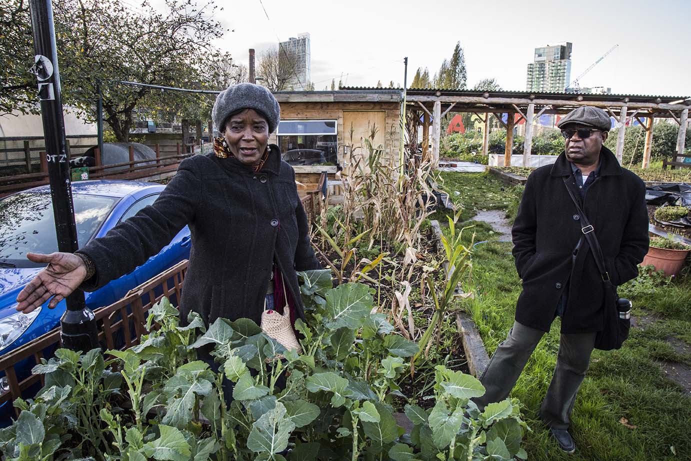 Spitalfields city farm