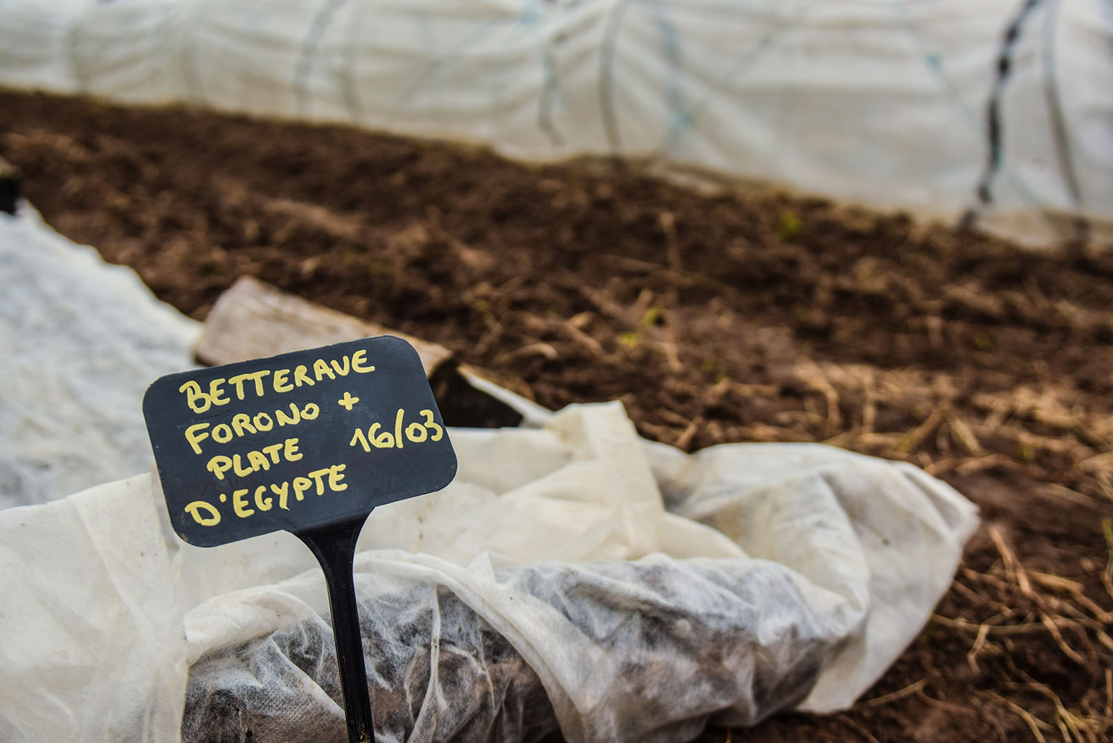 Les cultures en plein air