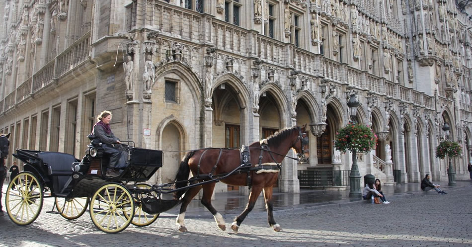 Cocher à la Grand Place