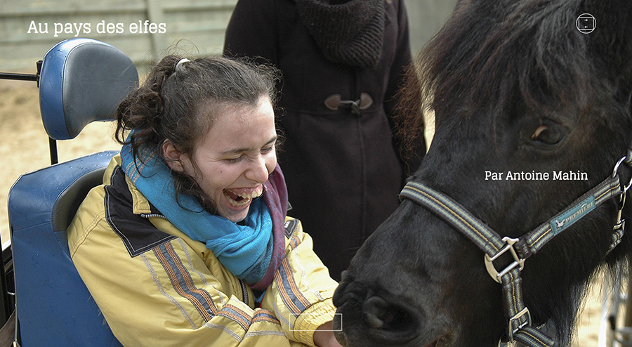 Un cheval mange dans la main d'une résidente de l'asbl Au pays des Elfes