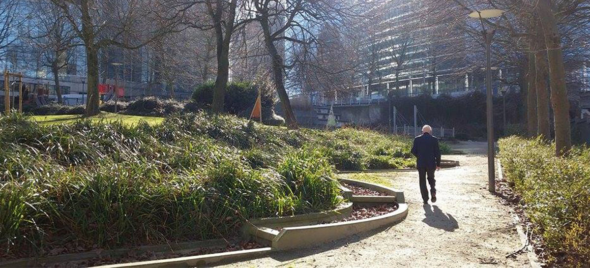 Un homme se promène dans le parc bruxellois