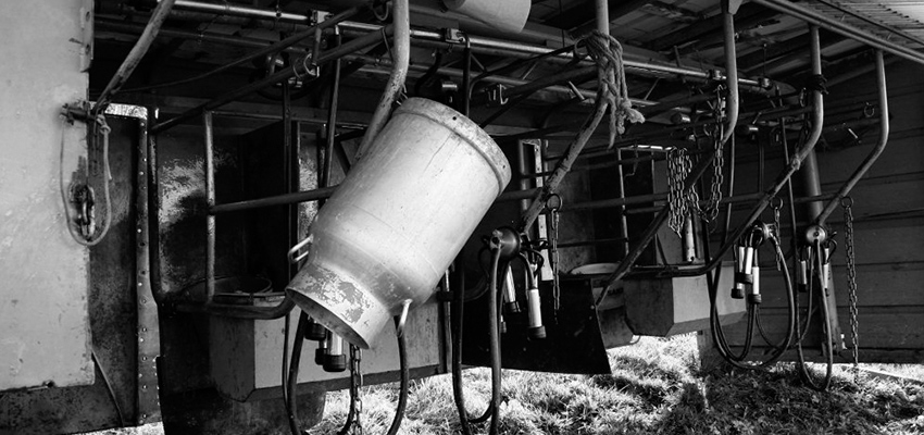 Machine à traire et cruche à lait