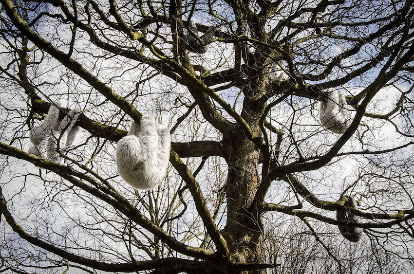 L'oeuvre représente des hommes suspendus dans des arbres.