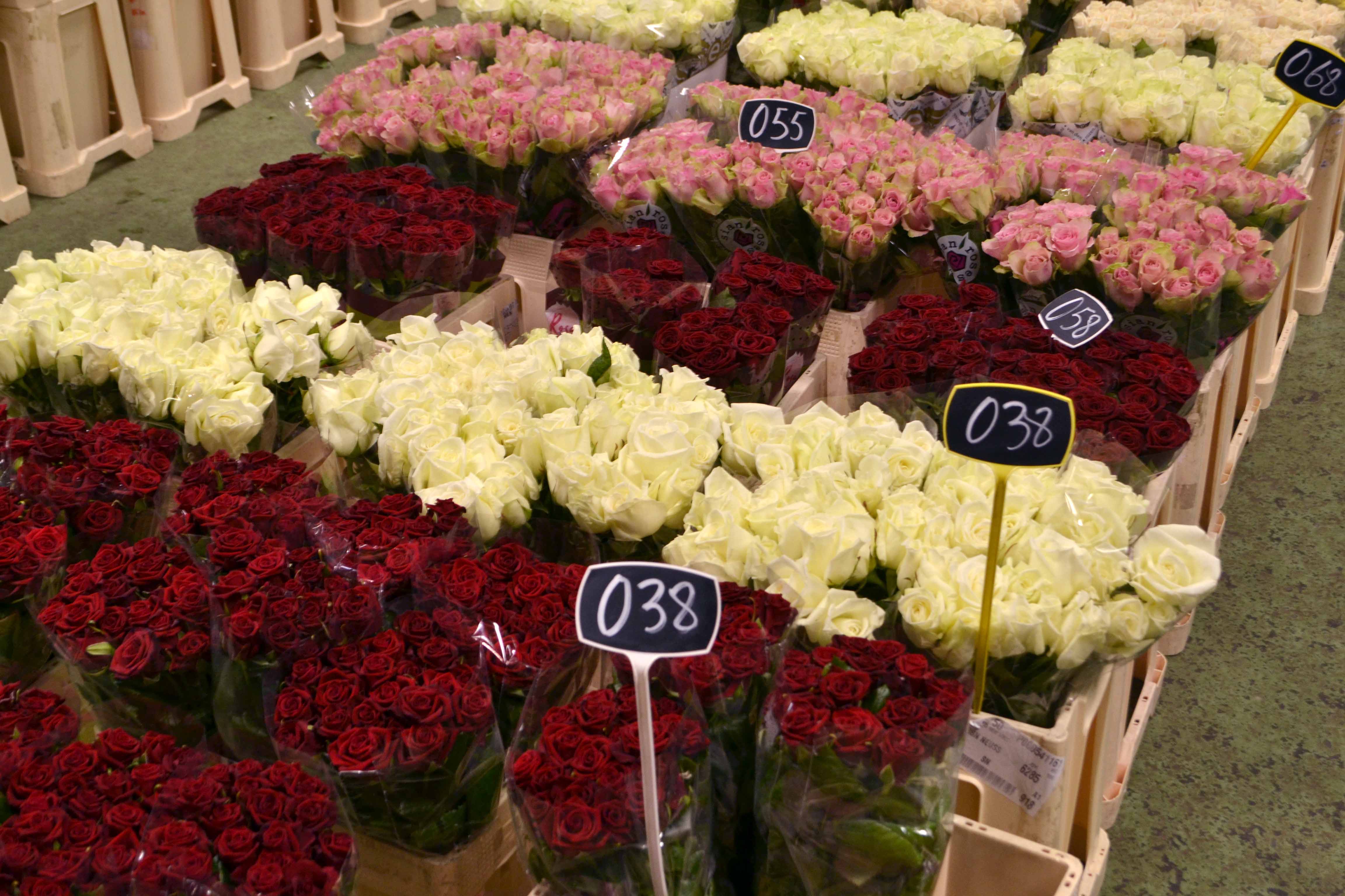 Le large stand de roses du marché matinal de Bruxelles.