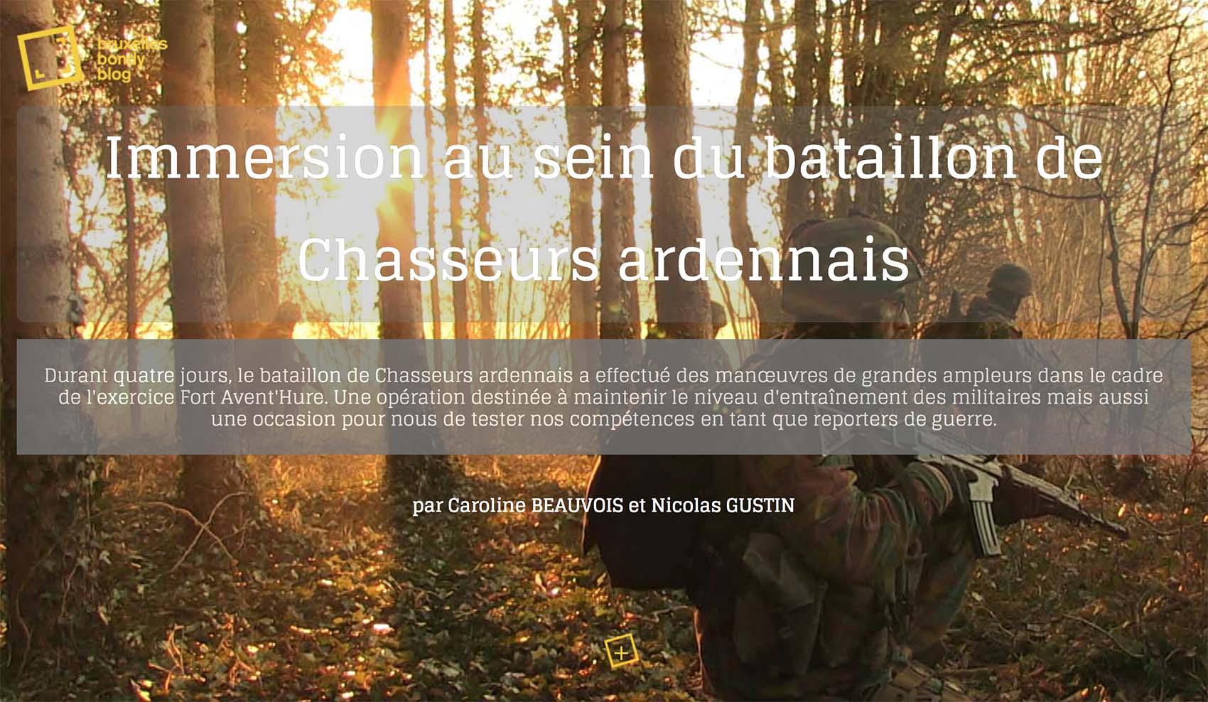 Bataillon de Chasseurs ardennais