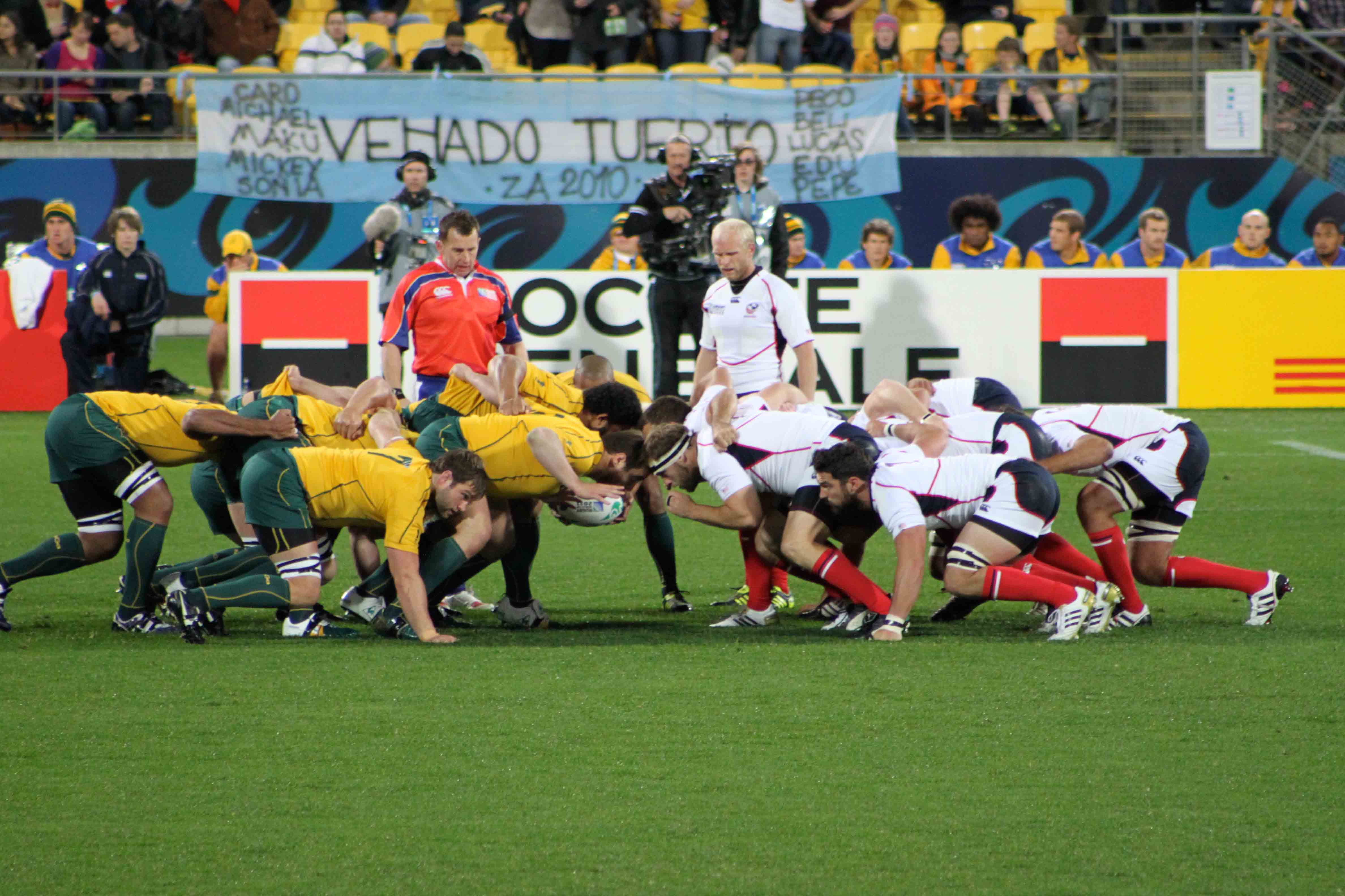 Rugby : les australiens dans la mêlée face aux Ecossais