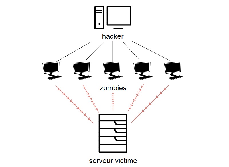 Schéma représentatif d'un DDoS