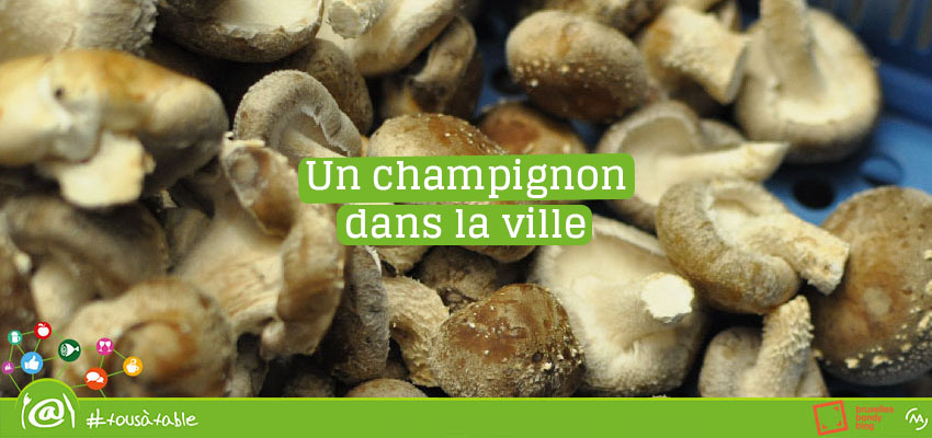 Le Champignon de Bruxelles