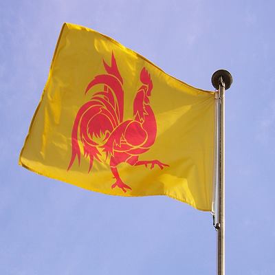 drapeau de la Wallonie qui flotte dans le vent