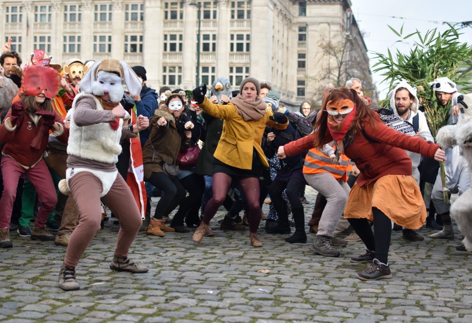 Les animaux dansent tous ensemble une dernière fois, pour soutenir les prévenus.