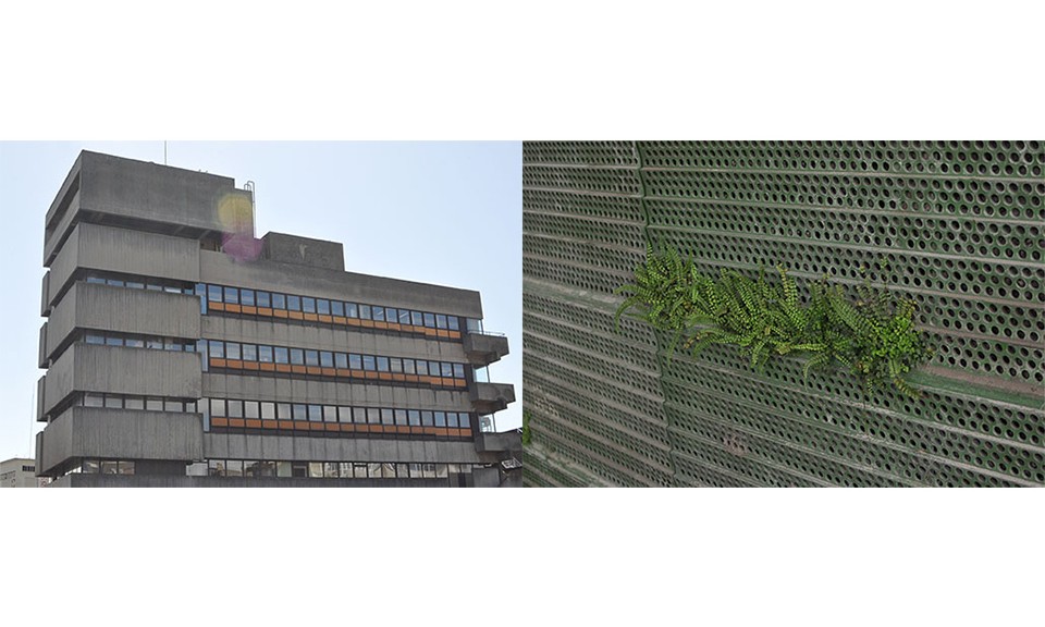 Building + plantes vertes sur un grillage