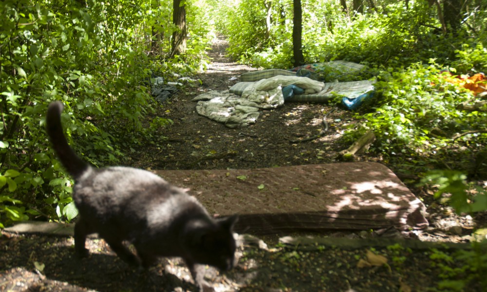 déchets dans la nature