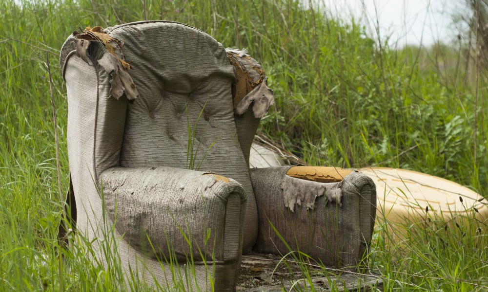 fauteuil dans la nature