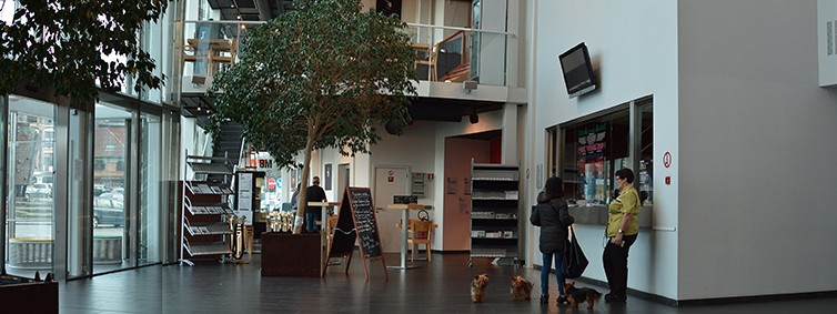 Cette entrée donne directement sur la billetterie mais également sur le restaurant du Palais des Beaux-Arts.