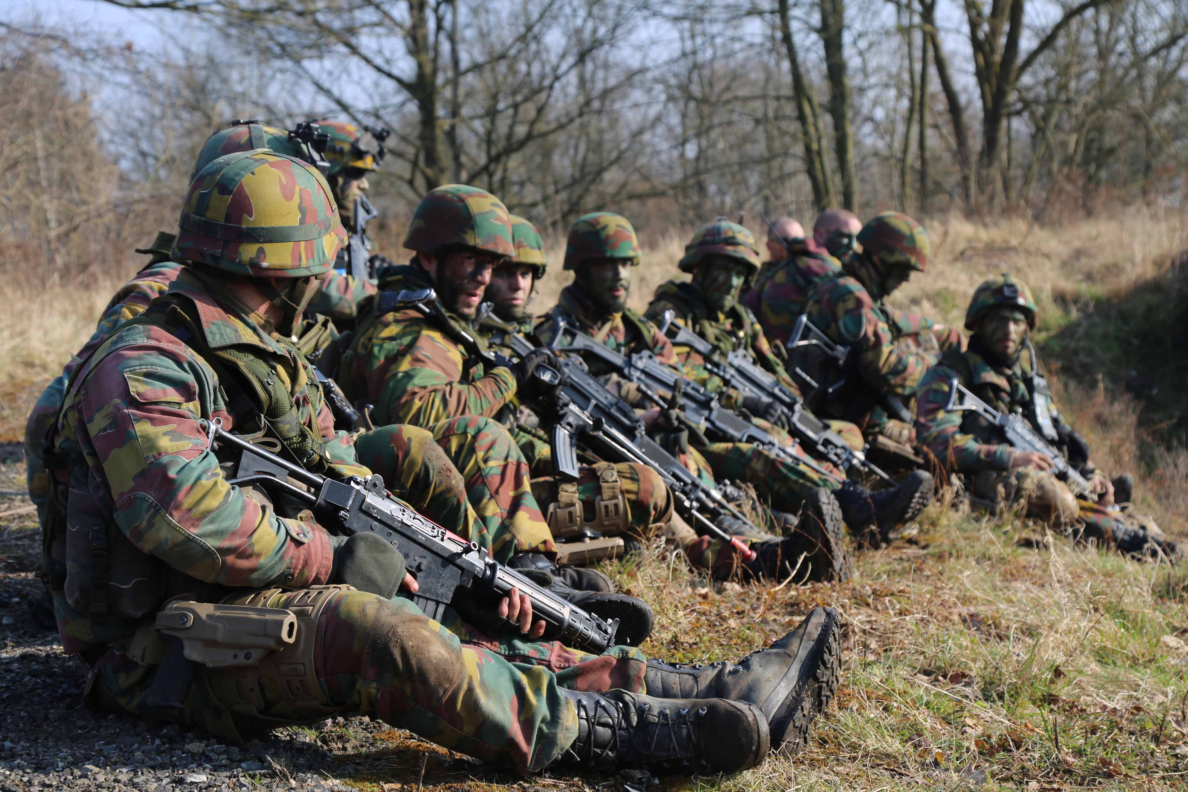 Chasseurs ardennais